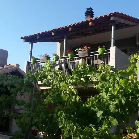 Vice Appartement